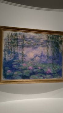 モネ 睡蓮のとき（国立西洋美術館）に投稿された画像（2025/1/13）