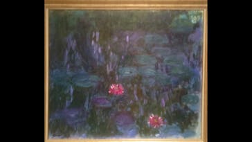 モネ 睡蓮のとき（国立西洋美術館）に投稿された画像（2025/1/13）