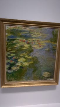 モネ 睡蓮のとき（国立西洋美術館）に投稿された画像（2025/1/13）
