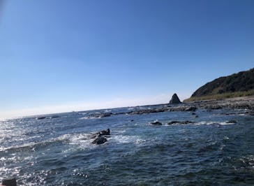 串本海中公園水族館に投稿された画像（2025/1/13）