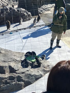 葛西臨海水族園に投稿された画像（2025/1/13）