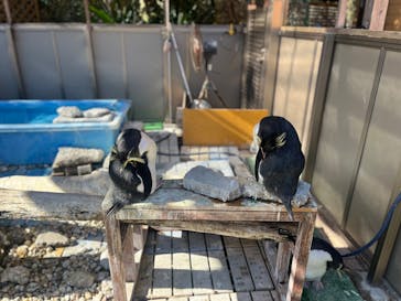 あわしまマリンパークに投稿された画像（2025/1/13）