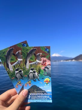 あわしまマリンパークに投稿された画像（2025/1/13）