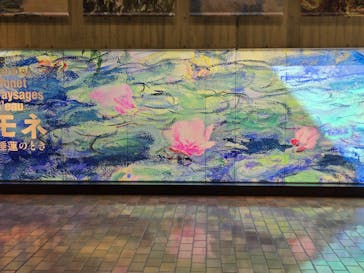 モネ 睡蓮のとき（国立西洋美術館）に投稿された画像（2025/1/13）