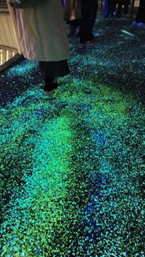 梅田スカイビル・空中庭園展望台に投稿された画像（2025/1/13）