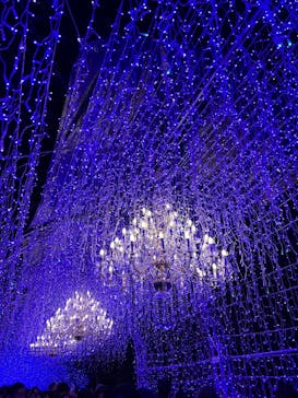 江の島シーキャンドルに投稿された画像（2025/1/13）