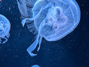 AOAO SAPPOROに投稿された画像（2025/1/13）