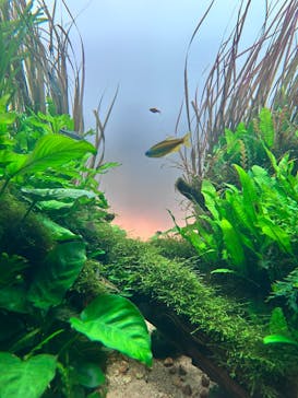 AOAO SAPPOROに投稿された画像（2025/1/13）