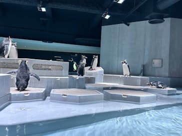 AOAO SAPPOROに投稿された画像（2025/1/13）