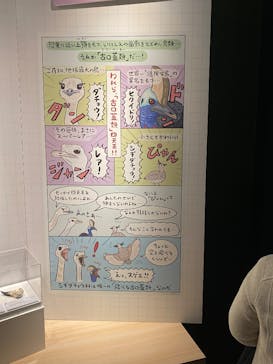 特別展「鳥 ～ゲノム解析が解き明かす新しい鳥類の系統～」国立科学博物館に投稿された画像（2025/1/13）