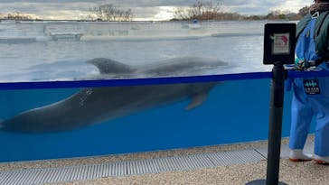 京都水族館に投稿された画像（2025/1/13）