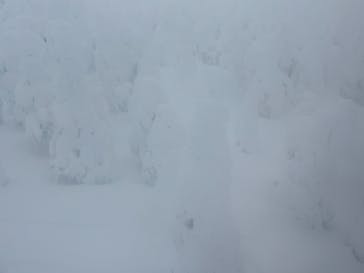 蔵王ロープウェイに投稿された画像（2025/1/13）