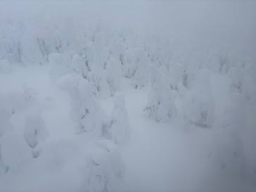 蔵王ロープウェイに投稿された画像（2025/1/13）