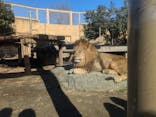 東武動物公園に投稿された画像（2025/1/13）