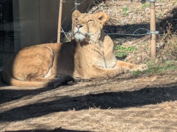 東武動物公園に投稿された画像（2025/1/13）