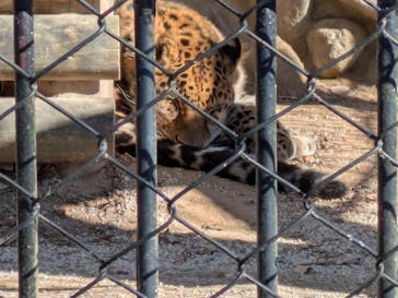 東武動物公園に投稿された画像（2025/1/13）