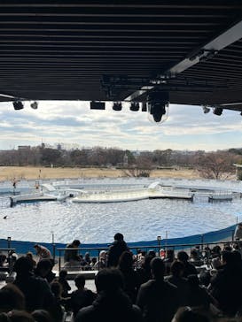 京都水族館に投稿された画像（2025/1/13）