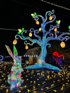 伊豆高原グランイルミに投稿された画像（2025/1/13）