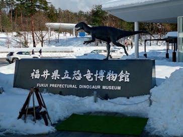 福井県立恐竜博物館に投稿された画像（2025/1/13）