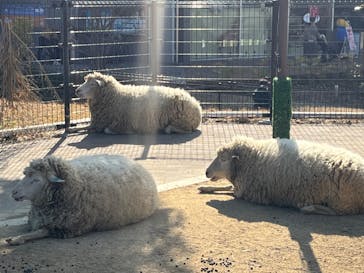天王寺動物園に投稿された画像（2025/1/13）