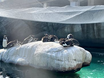 天王寺動物園に投稿された画像（2025/1/13）