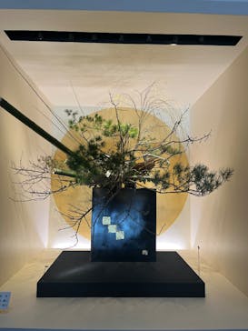 東京国立博物館に投稿された画像（2025/1/13）