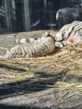 東武動物公園に投稿された画像（2025/1/13）