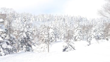 網張温泉スキー場に投稿された画像（2025/1/13）