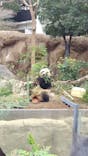 恩賜上野動物園に投稿された画像（2025/1/13）