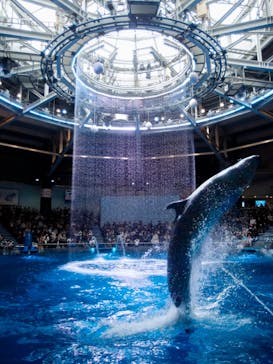 マクセル アクアパーク品川に投稿された画像（2025/1/13）