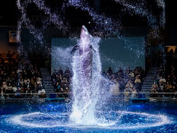 マクセル アクアパーク品川に投稿された画像（2025/1/13）