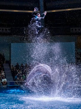 マクセル アクアパーク品川に投稿された画像（2025/1/13）