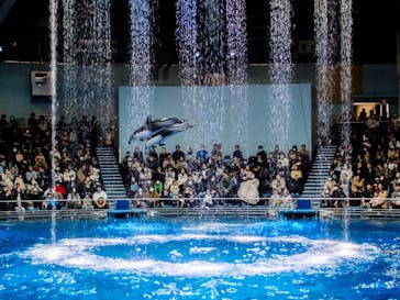 マクセル アクアパーク品川に投稿された画像（2025/1/13）