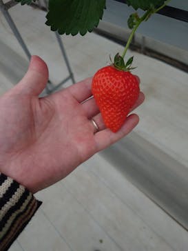 株式会社こまち野に投稿された画像（2025/1/13）