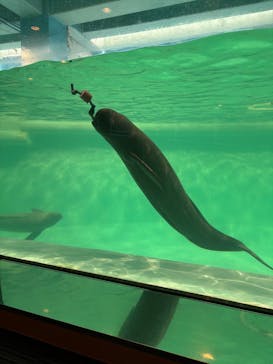 マリンワールド海の中道に投稿された画像（2025/1/13）