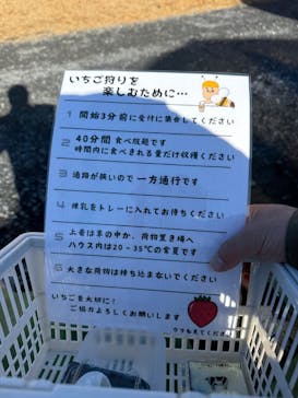 ICHIGOHOUSE.HITACHINAKAに投稿された画像（2025/1/13）