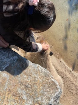 神戸どうぶつ王国に投稿された画像（2025/1/13）