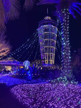 江の島シーキャンドルに投稿された画像（2025/1/13）