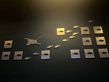 大分マリーンパレス水族館 「うみたまご」に投稿された画像（2025/1/13）