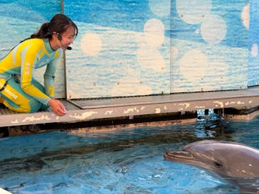 新江ノ島水族館に投稿された画像（2025/1/13）