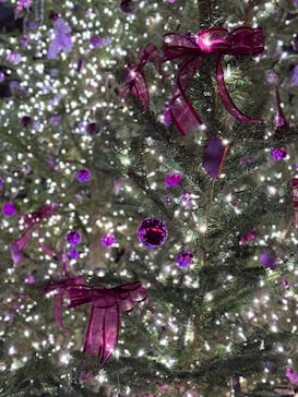 安城産業文化公園デンパークに投稿された画像（2025/1/13）