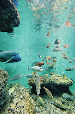 葛西臨海水族園に投稿された画像（2025/1/13）