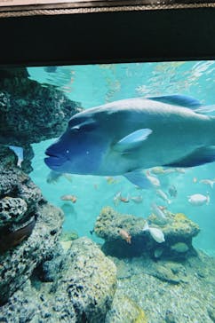 葛西臨海水族園に投稿された画像（2025/1/13）