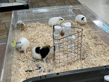 いきもの探検隊上尾に投稿された画像（2025/1/13）