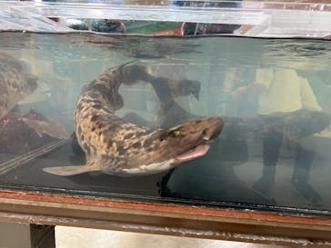 いきもの探検隊上尾に投稿された画像（2025/1/13）