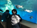 アクアワールド茨城県大洗水族館に投稿された画像（2025/1/13）