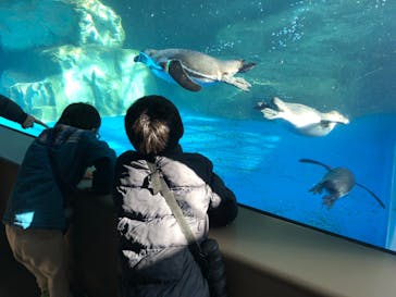 アクアワールド茨城県大洗水族館に投稿された画像（2025/1/13）