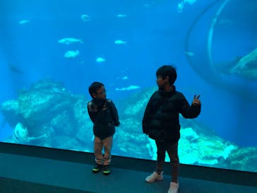 アクアワールド茨城県大洗水族館に投稿された画像（2025/1/13）