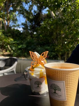 CAVE OKINAWAに投稿された画像（2025/1/13）