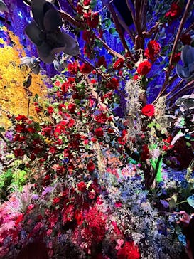 蜷川実花展 with EiM：彼岸の光、此岸の影 NINAGAWA Mika with EiM：Lights of the beyond, Shadows of this worldに投稿された画像（2025/1/13）